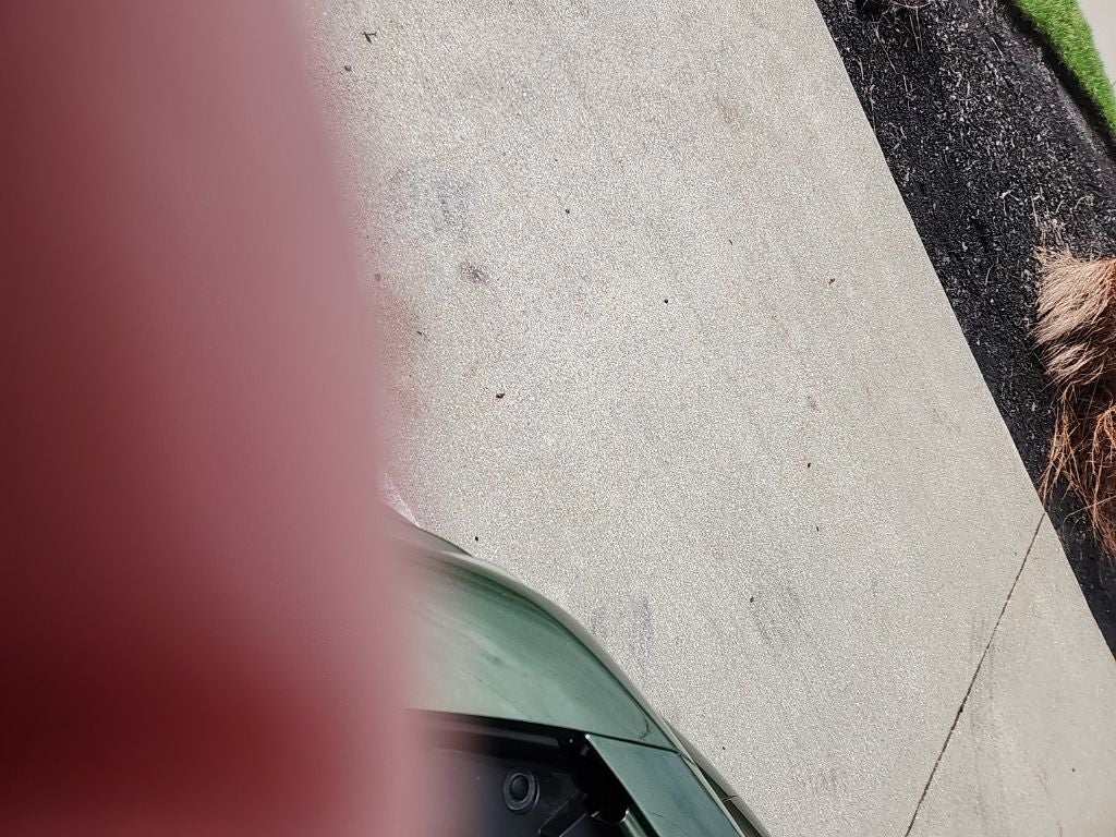 2023 Dodge Charger Scat Pack Swinger