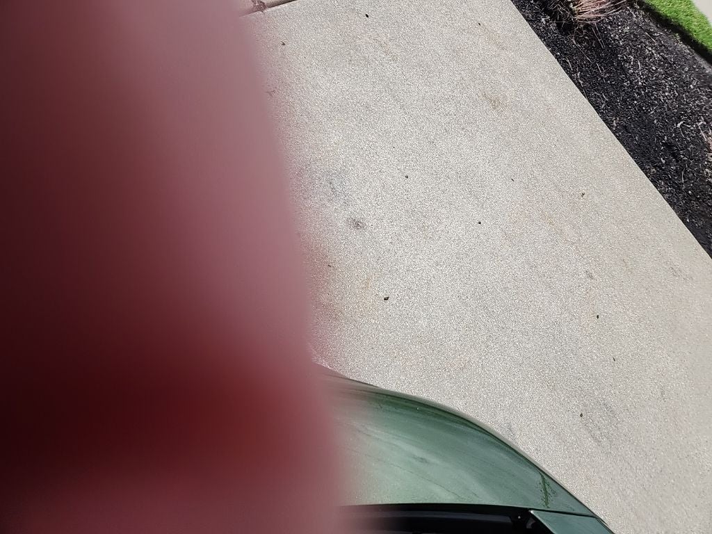 2023 Dodge Charger Scat Pack Swinger