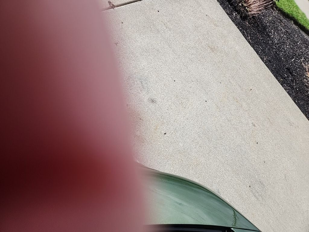 2023 Dodge Charger Scat Pack Swinger