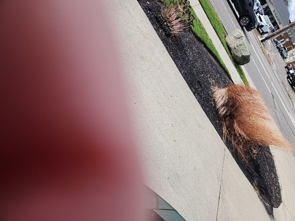 2023 Dodge Charger Scat Pack Swinger