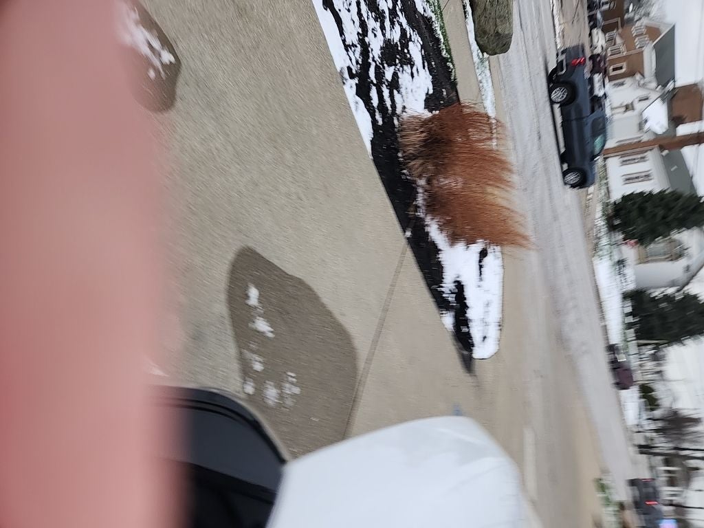 2023 GMC Terrain AWD SLE